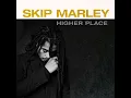 Higher Place (feat. Bob Marley) - Skip Marley
