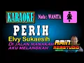 Download Lagu PERIH Elvy Sukaesih KARAOKE Nada WANITA