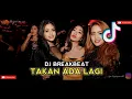 Download Lagu DJ Takan Ada Lagi - Breakbeat Remix