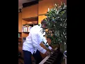 Download Lagu Bliss (synth) - Muse - piano cover