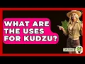 Download Lagu What Are The Uses For Kudzu? - The Plant Enthusiast
