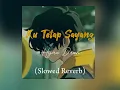 Download Lagu Ku Tetap Sayang - Hijau Daun (Slowed +  Reverb)