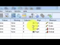 Pearson and Spearman correlations in SPSS