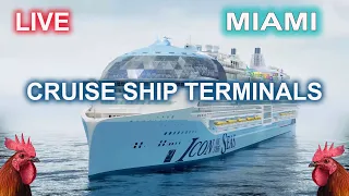 LIVE Port Miami Cruise Ship Terminals