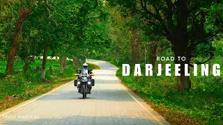 This Jungle Road To Darjeeling Is Insane | Best View of Kanchenjunga Mountain | Ep-20 Darjeeling