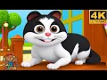 Meow Meow Billi Kerti Meow | म्याऊँ म्याऊँ बिल्ली करती म्याऊँ | Hindi Rhyme | Nursery Rhyme For Kids