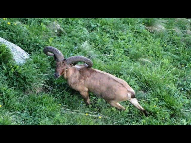 ლაგოდეხის ლამაზი ადგილები