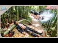 Download Lagu CEO Poisoned And Saved By Goddess With Her Body—He Falls Madly In Love And Searches For Ten Years
