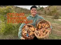 Download Lagu ОТМЕННЫЕ РЫЖИКИ КИДАЮТСЯ ПОД НОГИ! Ура, рыжики 2025