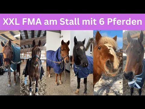 Download MP3 XXL FMA am Stall mit 6 Pferden 😱​😎​ | Marina Schuster