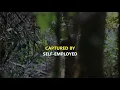 Download Lagu Azania - Umzuzu ( Official Music Video)