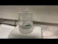 Synthesis of Polyaniline Sensors