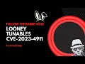 Looney Tunable CVE-2023-4911