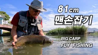 150mm 단비가 내리고 나면 일어나는 일.- 2026 fly fishing EP12(Carp On The Fly 잉어 플라이 낚시)