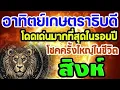 Download Lagu #พิเศษ ดาวพระอาทิตย์เกษตราธิบดี โดดเด่นมากที่สุดในรอบปี โชคครั้งใหญ่ในชีวิต #ลัคนาราศีสิงห์