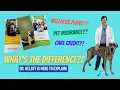 All About Wellness Plans Pet Insurance and Care Credit