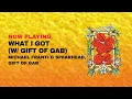 "What I Got (w/ Gift of Gab)" by Michael Franti & Spearhead, Gift of Gab (Official Visualizer)