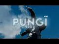 Pungi - Mita singh, Amitabh Bhattacharya, Naksh, Pritam Chakraborty| #music #song #viral #youtube ||