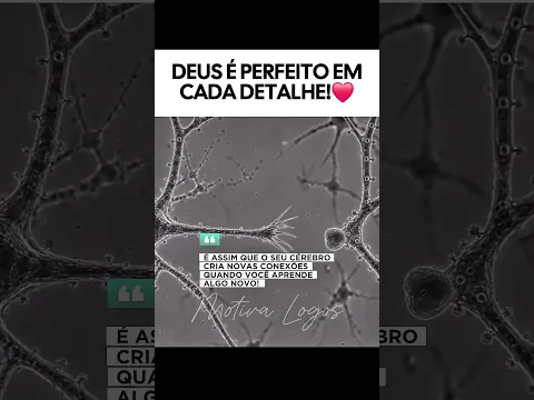 Quem é Deus, para você?💭
