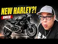 Harley Davidson s New Motorcycle Is Coming Here s What Just Happened