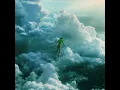 Peter Pan Was Right - Anson Seabra