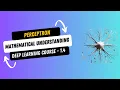 DL 1 4 Perceptron - Mathematical Understanding Deep Learning Course
