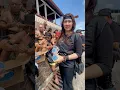 Download Lagu Als een krijger is dit de traditionele kleding van een Dayak Mali-meisje uit West-Kalimantan