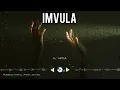  Dj Njebza  - Imvula  (Official Visualizer) 