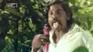 si luncai