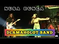 Download Lagu NUSA BUNGA  DLAMAHOLOT BAND