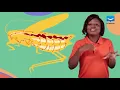 Open Circulatory System In Invertebrates mechanism Of Transport In Insects