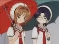 Download Lagu Sakura x Eriol: Love is a beautiful pain (fanmade video)