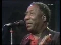 Download Lagu Muddy Waters • Live In Montreal 1980