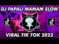 DJ PAPALI MAMAM HAPPY TEAM VIRAL TIKTOK TERBARU 2022
