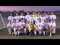 Wingspan Quick Turn - UF Decisions