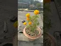 Download Lagu https://youtu.be/-ObdvMkCKws
