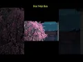 khách sạn duy ninh Update New Khách sạn duy nhất ở Tokyo có thác nước, vườn Nhật Wabisabi, và các loài thực vật 4 mùa.