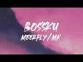Download Lagu MeerFly - \