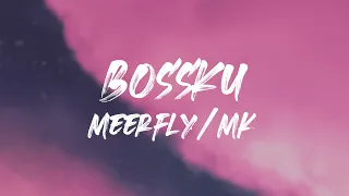 Download MeerFly - \ MP3