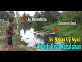 Download Lagu WASPADA Buaya | Mancing di rawa ada TANDA AIR BEGINI !!! Ini bukan uji nyali Mancing