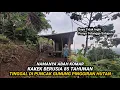 Download Lagu MUSTAHIL PERCAYA!! TAPI ORANG INI PERNAH MENIKAH 18 KALI DAN BERTAHAN HIDUP TINGGAL DI HUTAN