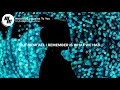 Gryffin - Nobody Compares To You (Lyrics / Lyric Video) Codeko Remix, feat. Katie Pearlman