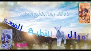 حصري الالبوم ال 11 لكورال القطيع الصغير لا تخف ايها القطيع الصغير 