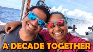 We Celebrate Our 10 YEAR ANNIVERSARY! – Sailing Turtle⛵