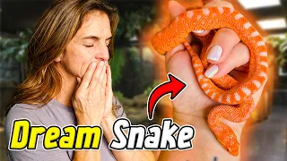 He Gifted Me This Pure Red Snake!!