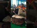 Download Lagu TUNA CUTTING SPECIAL #cuttingtuna #fishcutting #food