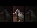 Scout Willis - Blame Me (Official Visualizer) - Scout Willis