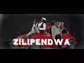 DIAMOND PLATNUMZ, HARMONIZE, RICH MAVOKO, RAYVANNY - ZILIPENDWA (OFFICIAL VIDEO)