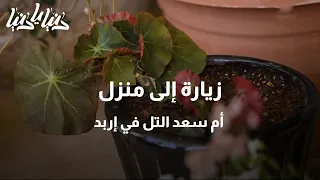 زيارة إلى منزل أم سعد التل في إربد   دنيا يا دنيا  زراعة دندنها