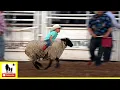 Download Lagu Mutton Bustin' 🦙 2021 Saint's Roost Ranch Rodeo | Saturday
